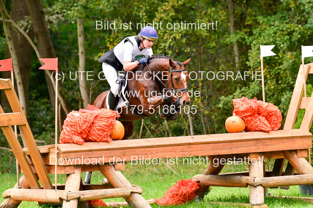 CCIS Mechtersen 25.9.21 | CCI++ Gelände _162