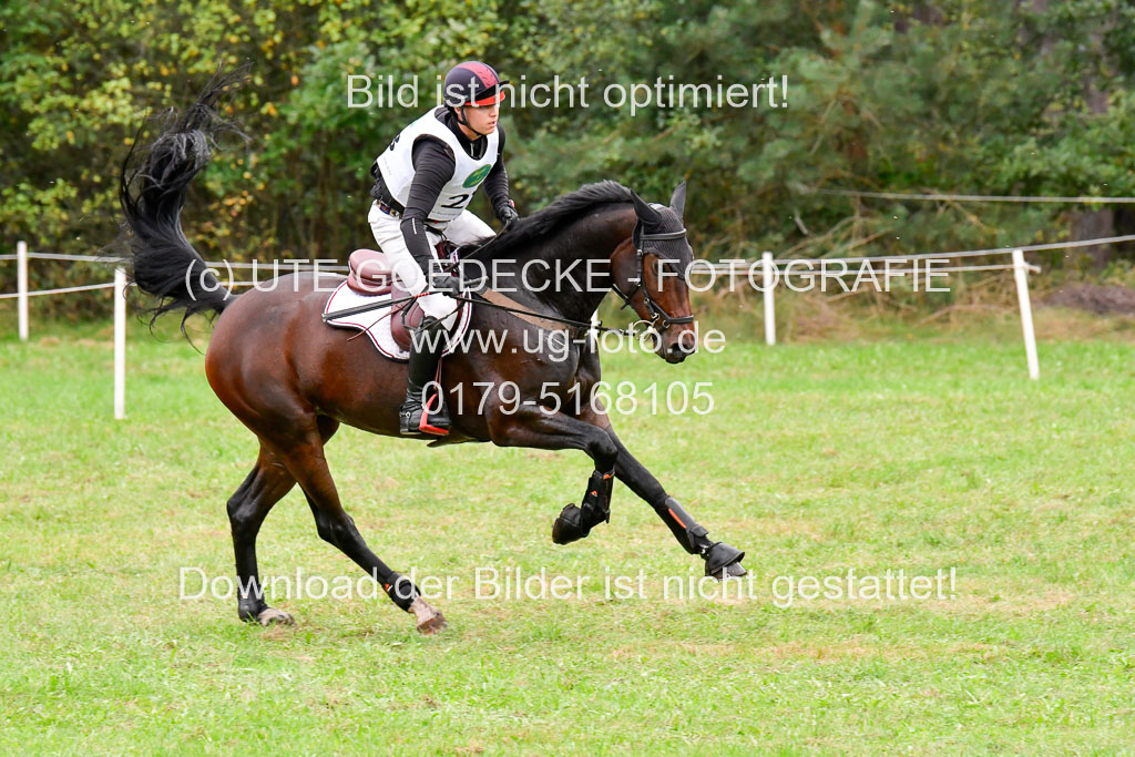 CCIS Mechtersen 25.9.21 | CCI++ Gelände _266
