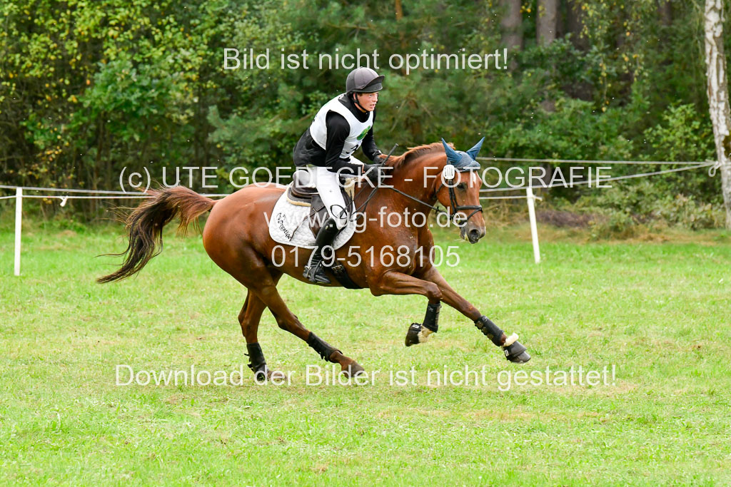 CCIS Mechtersen 25.9.21 | CCI++ Gelände _333