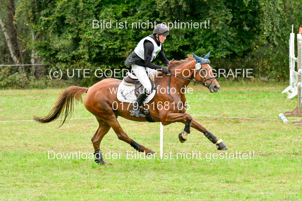 CCIS Mechtersen 25.9.21 | CCI++ Gelände _334
