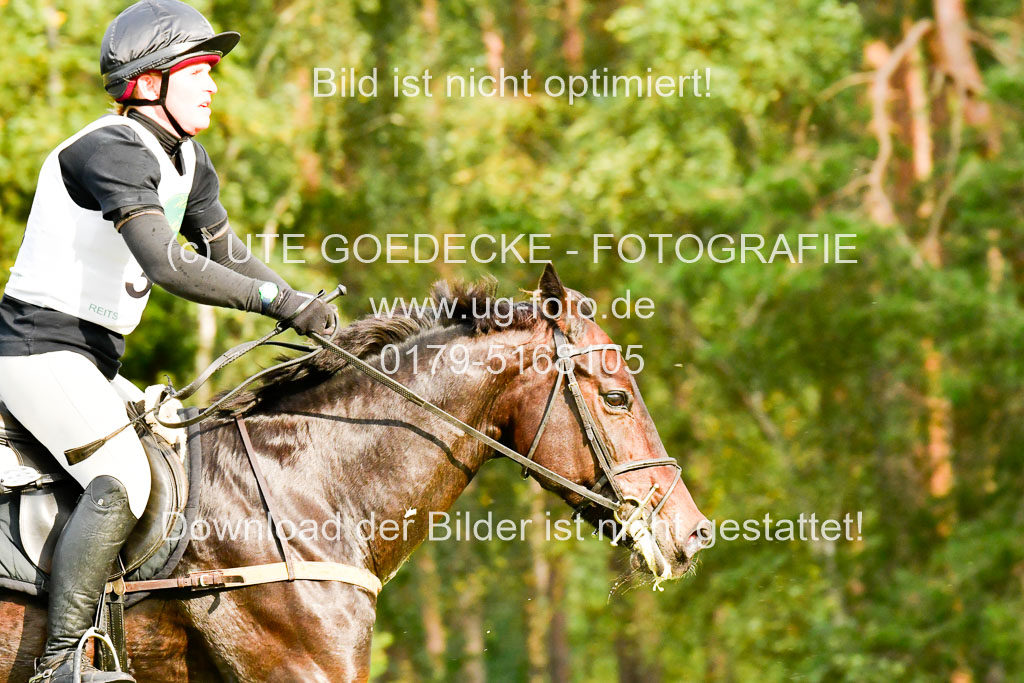 CCIS  Mechtersen 25.9.21 | CCI++ Gelände _363 