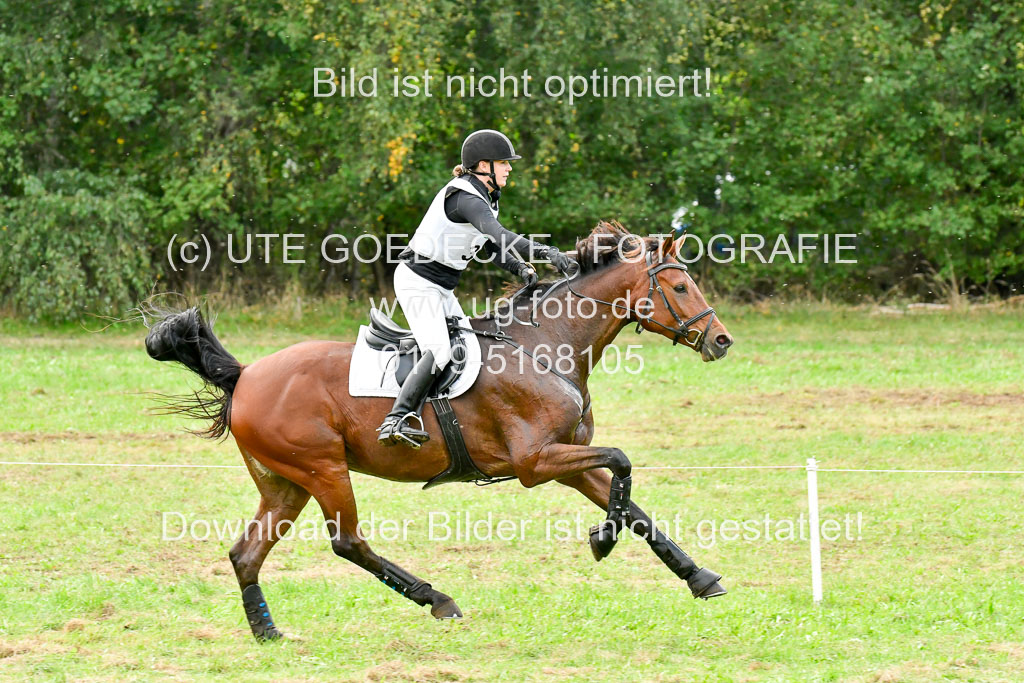 CCIS Mechtersen 25.9.21 | CCI++ Gelände _387