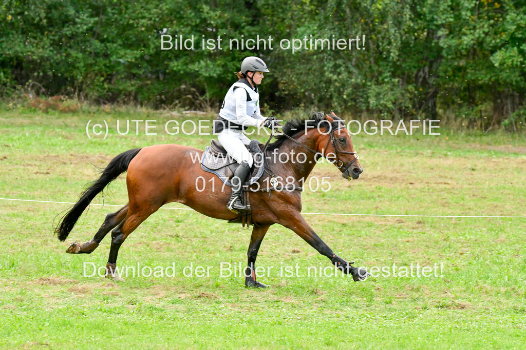 CCIS Mechtersen 25.9.21 | CCI++ Gelände _416