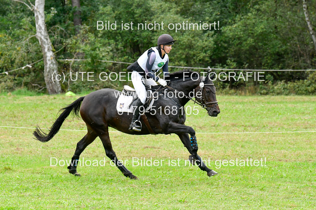 CCIS  Mechtersen 25.9.21 | CCI++ Gelände _432 