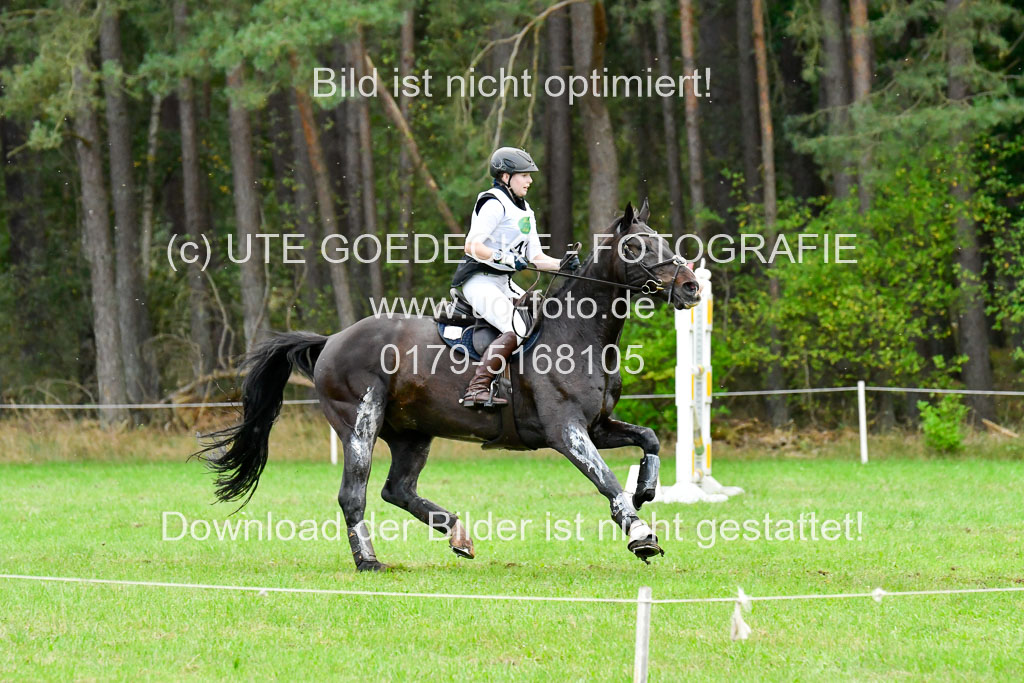 CCIS Mechtersen 25.9.21 | CCI++ Gelände _445