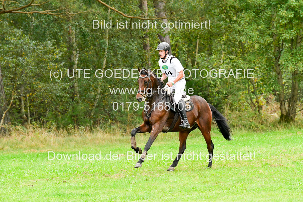 CCIS Mechtersen 25.9.21 | CCI++ Gelände _501