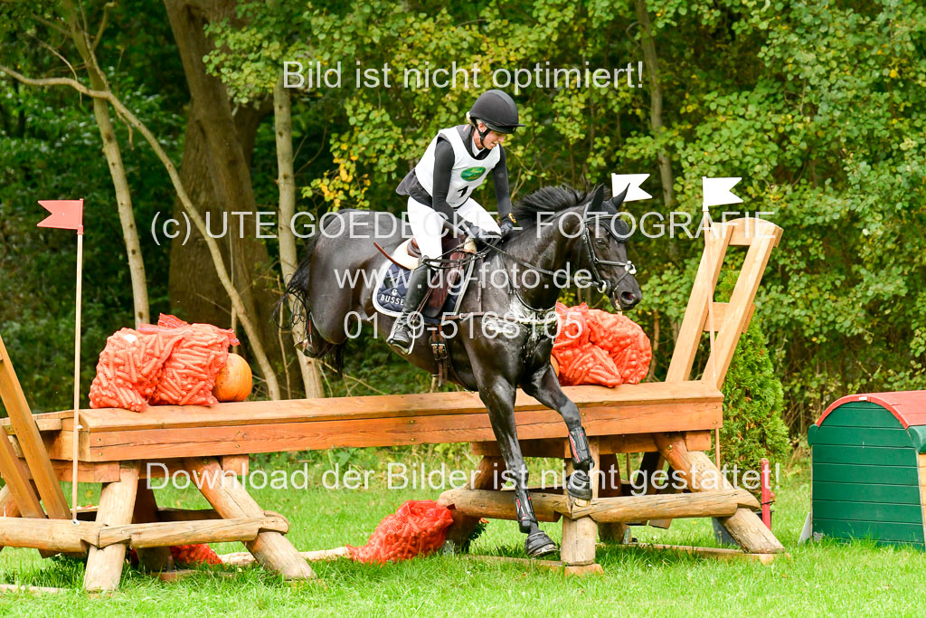 CCIS  Mechtersen 25.9.21 | Kim Heitmann - Royal Dancer _19 