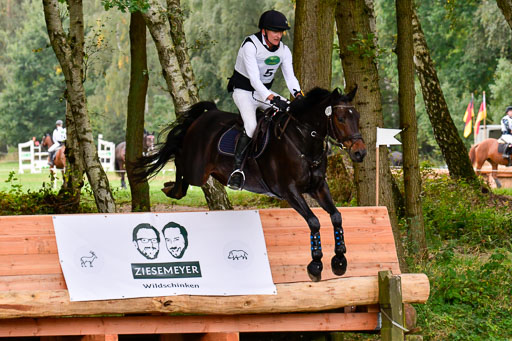 CCIS  Mechtersen 25.9.21 | CCI++ Gelände _022 