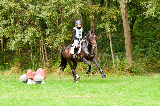 CCI** Cross Country