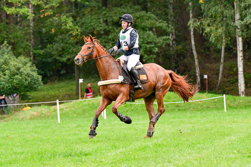 CCIS  Mechtersen 25.9.21 | CCI++ Gelände _095 