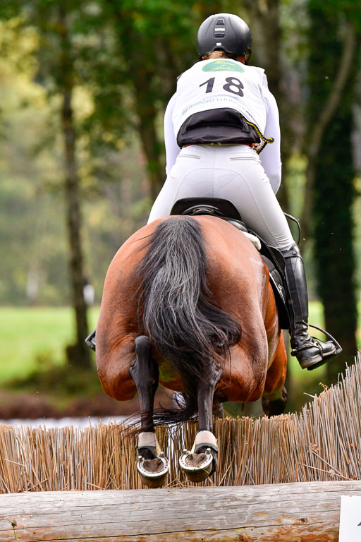 CCIS  Mechtersen 25.9.21 | CCI++ Gelände _112 