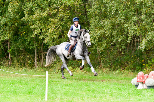 CCIS  Mechtersen 25.9.21 | CCI++ Gelände _180 