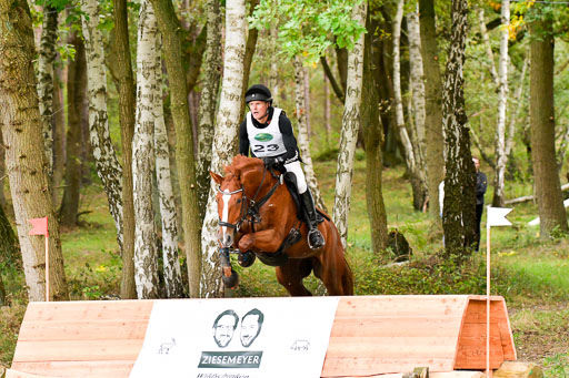 CCIS  Mechtersen 25.9.21 | CCI++ Gelände _197 