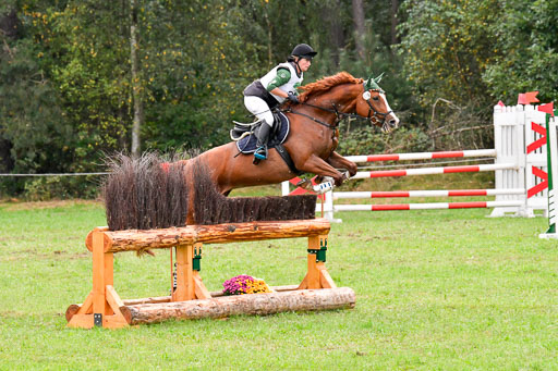 CCIS  Mechtersen 25.9.21 | CCI++ Gelände _211 