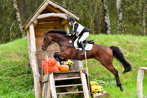 CCIS  Mechtersen 25.9.21 | CCI++ Gelände _215 