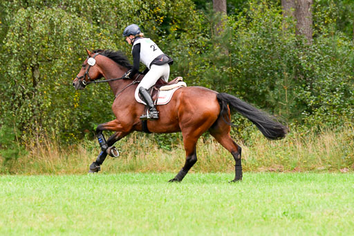 CCIS  Mechtersen 25.9.21 | CCI++ Gelände _242 