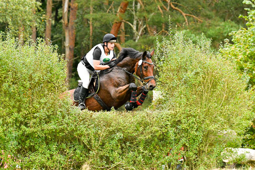 CCIS  Mechtersen 25.9.21 | CCI++ Gelände _274 