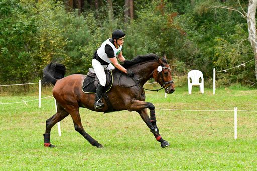 CCIS  Mechtersen 25.9.21 | CCI++ Gelände _285 