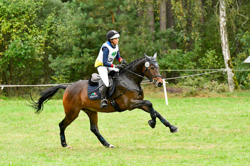 CCIS  Mechtersen 25.9.21 | CCI++ Gelände _298 