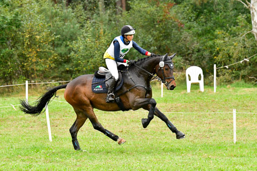 CCIS  Mechtersen 25.9.21 | CCI++ Gelände _299 