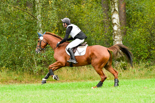 CCIS  Mechtersen 25.9.21 | CCI++ Gelände _319 