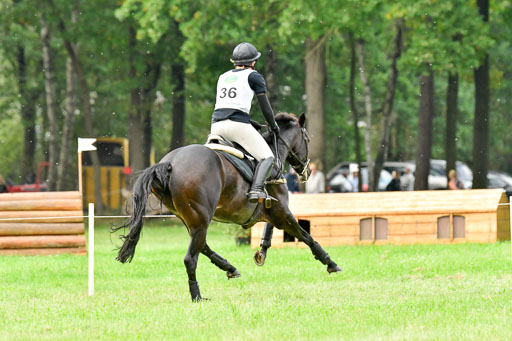 CCIS  Mechtersen 25.9.21 | CCI++ Gelände _372 