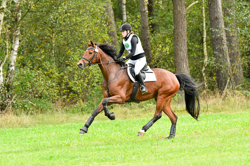 CCIS  Mechtersen 25.9.21 | CCI++ Gelände _374 