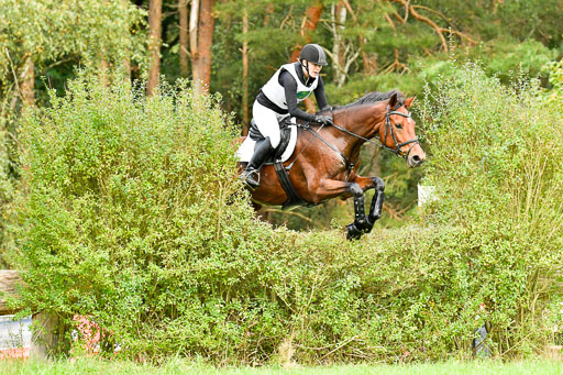 CCIS  Mechtersen 25.9.21 | CCI++ Gelände _380 