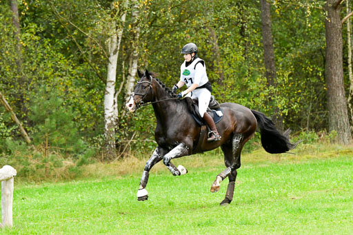 CCIS  Mechtersen 25.9.21 | CCI++ Gelände _435 