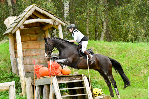 CCIS  Mechtersen 25.9.21 | CCI++ Gelände _436 