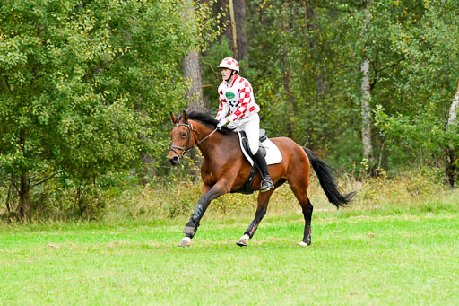 CCIS  Mechtersen 25.9.21 | CCI++ Gelände _447 