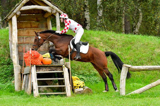 CCIS  Mechtersen 25.9.21 | CCI++ Gelände _448 