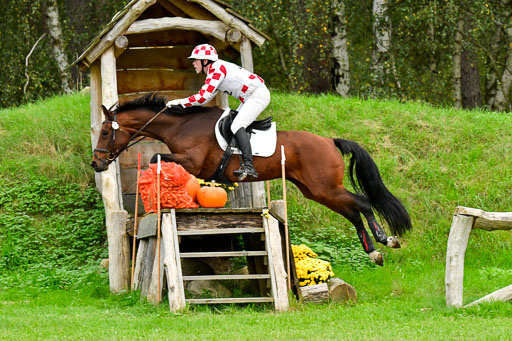 CCIS  Mechtersen 25.9.21 | CCI++ Gelände _449 