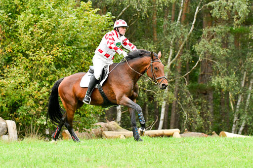 CCIS  Mechtersen 25.9.21 | CCI++ Gelände _455 