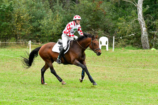 CCIS  Mechtersen 25.9.21 | CCI++ Gelände _461 