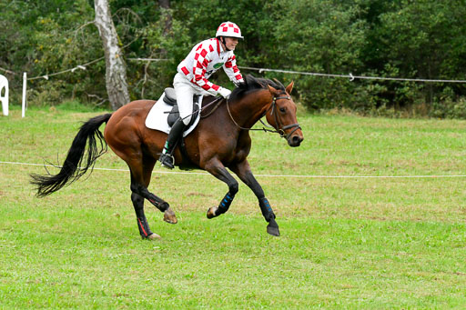 CCIS  Mechtersen 25.9.21 | CCI++ Gelände _462 