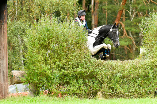 CCIS  Mechtersen 25.9.21 | CCI++ Gelände _484 