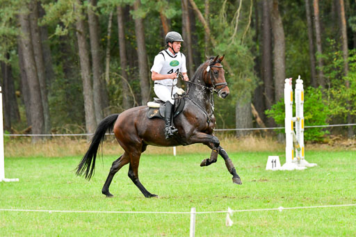 CCIS  Mechtersen 25.9.21 | CCI++ Gelände _513 