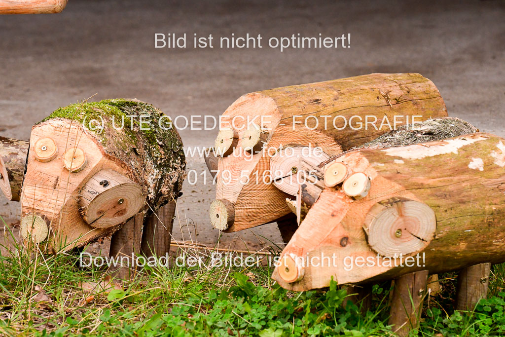 RFV Mechtersen Vögelsen  CCI  & VA  25+26.09.2021 | Siegerehrung-Impressionen _013 