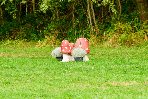 RFV Mechtersen Vögelsen  CCI  & VA  25+26.09.2021 | Siegerehrung-Impressionen _083 