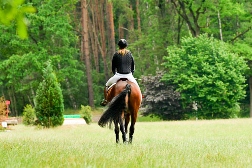  | 260621 Geländeritt A _165 