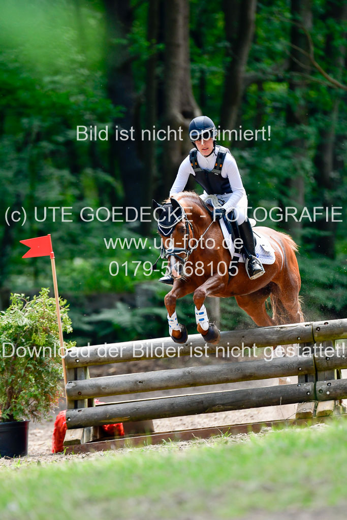 Mechtersen Geläneturnier 26.06.2021 | 260621 - Geländeritt E 2 Abt_013