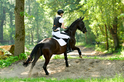 Mechtersen Geläneturnier  26.06.2021 | 260621 - Geländeritt E  2 Abt_043 
