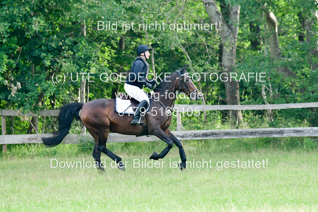 Mechtersen Geläneturnier  26.06.2021 | 260621 - Geländeritt E  1 Abt 