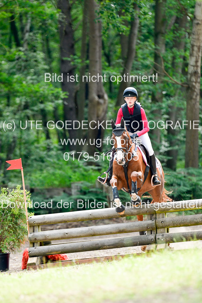 Mechtersen Geläneturnier 26.06.2021 | 260621 - Geländeritt E 1 Abt_201