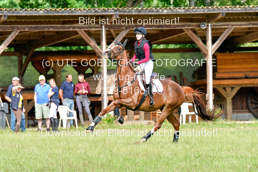 Mechtersen Geläneturnier 26.06.2021 | 260621 - Geländeritt E 1 Abt_206