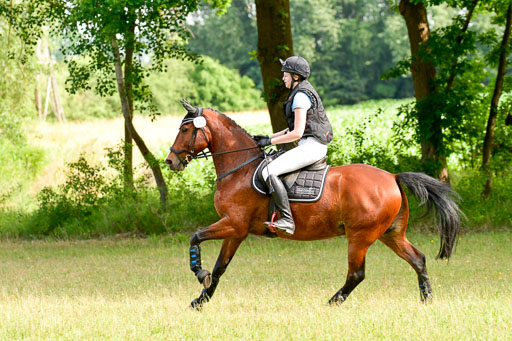 Mechtersen Geläneturnier  26.06.2021 | 260621 - Geländeritt E  1 Abt_172 