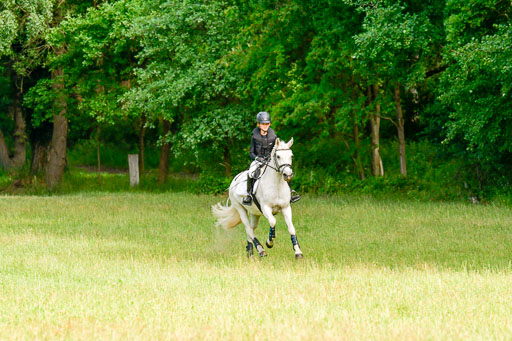 Mechtersen Geläneturnier  26.06.2021 | 260621 - Geländeritt E  1 Abt_174 