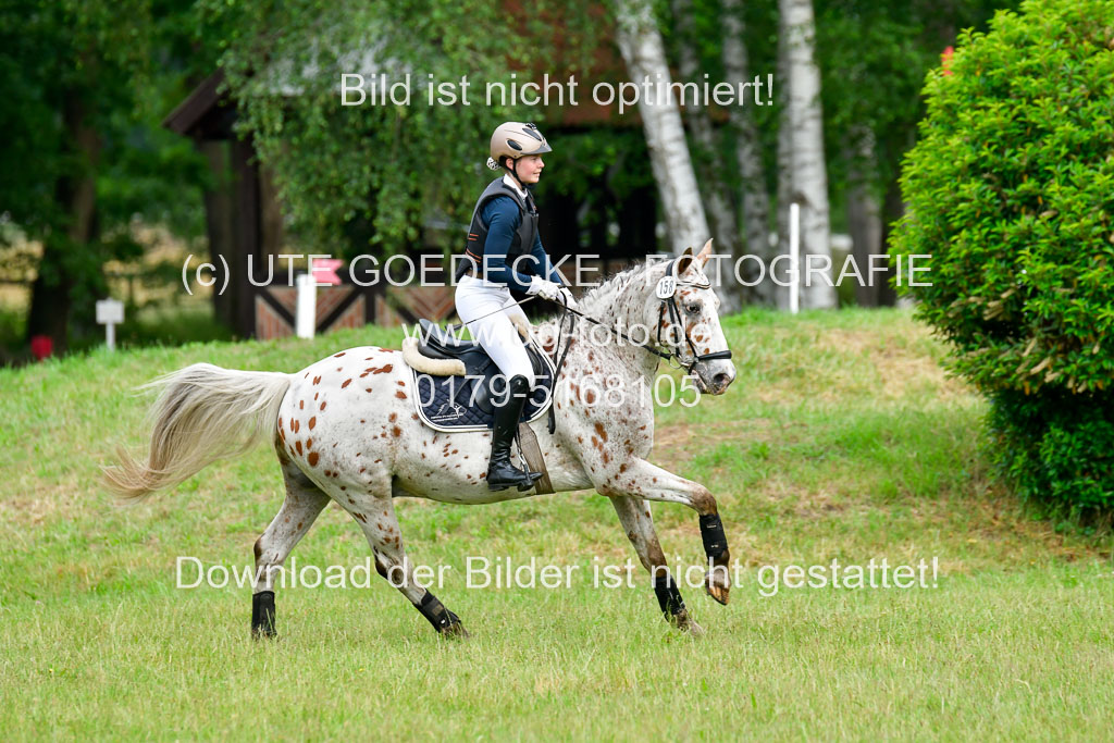 Mechtersen Geläneturnier  27.06.2021 | 270621 Hunterklasse _010 