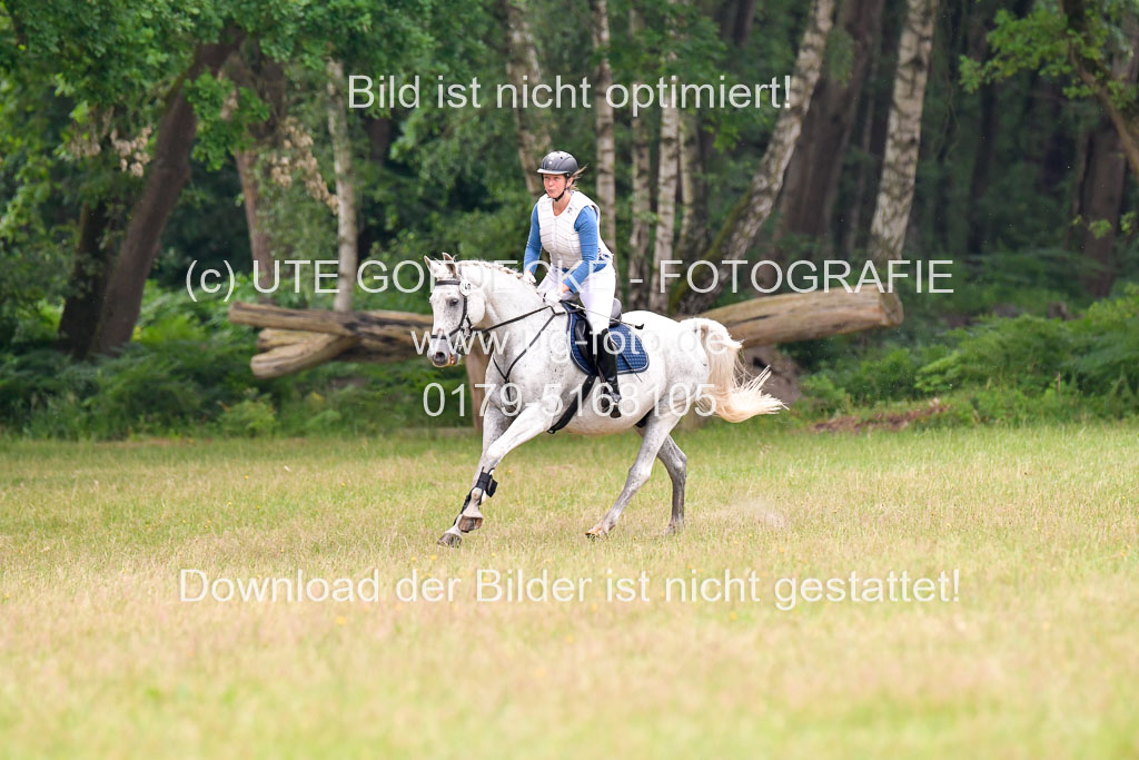 Mechtersen Geläneturnier 27.06.2021 | 270621 Hunterklasse _118